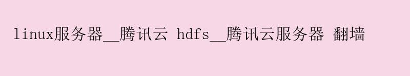 linux服务器__腾讯云 hdfs__腾讯云服务器 翻墙 linux服务器__腾讯云 hdfs__腾讯云服务器 翻墙