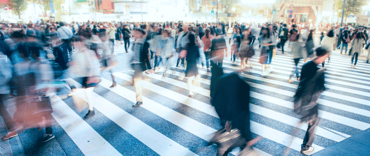 新邵广东省职业技能人才培养